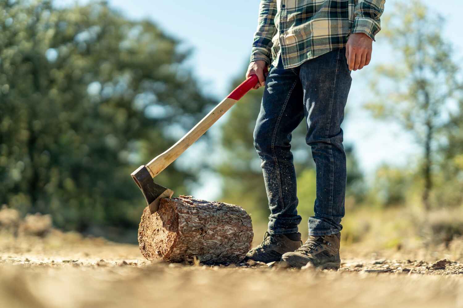 Trusted Cairo, GA Tree Service Experts